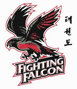 Διεθνές Τουρνουά Fighting Falcon 15-16/10/2014 - Απαραίτητα Έγγραφα